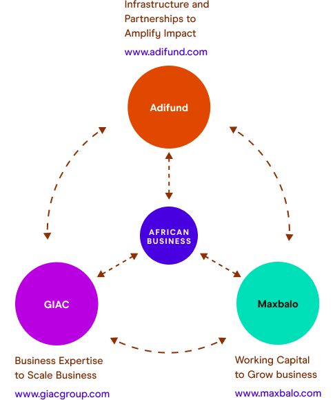 Partnership ecosystem diagram with Adifund, African Business, GIAC and Maxbalo